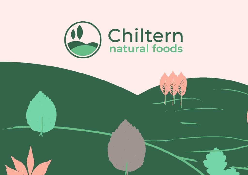 Brand guidelines design example