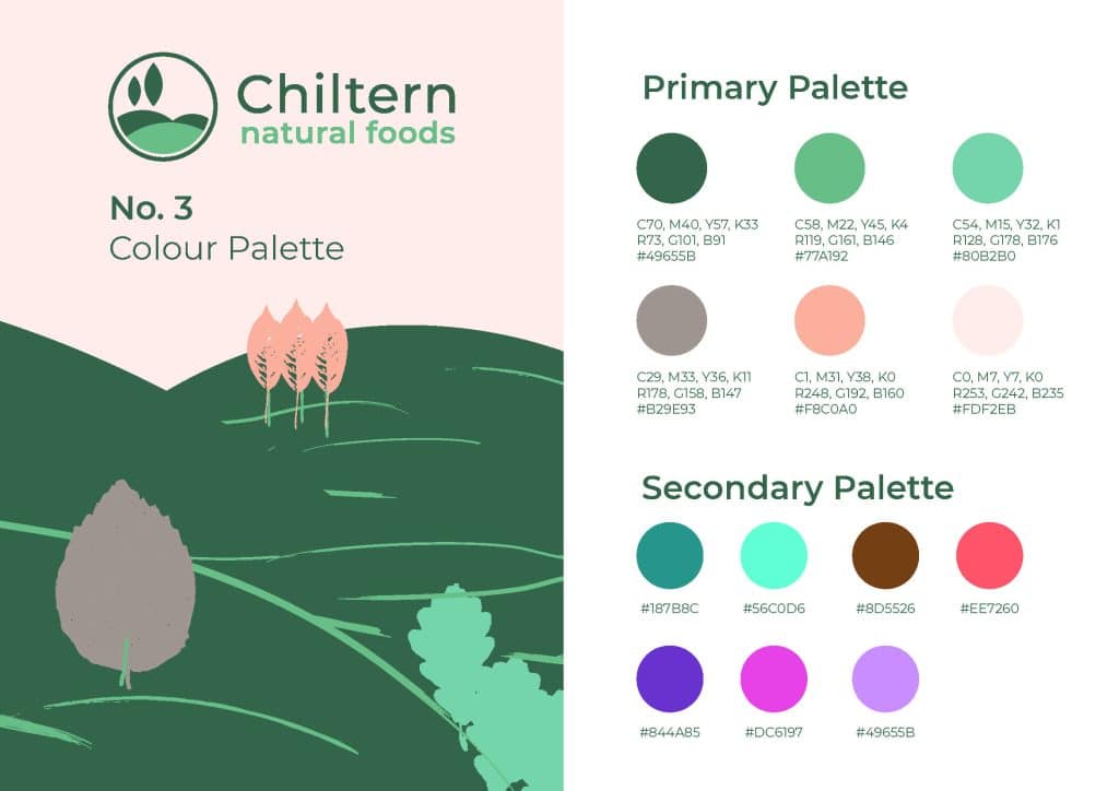 Brand guidelines design example