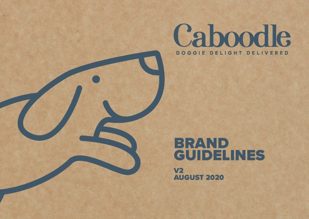 Brand guidelines design example