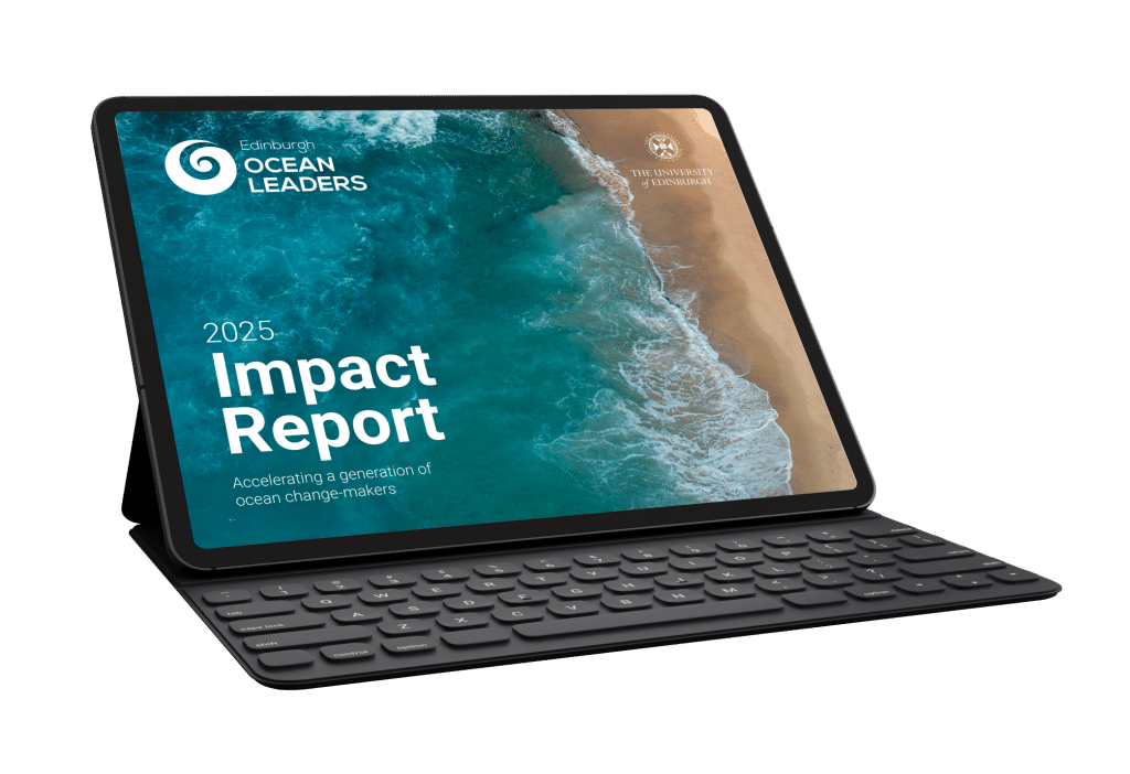 Impact Reports design example