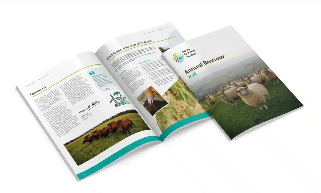 Reports design example