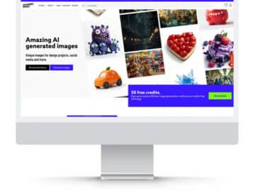 Website design and build
