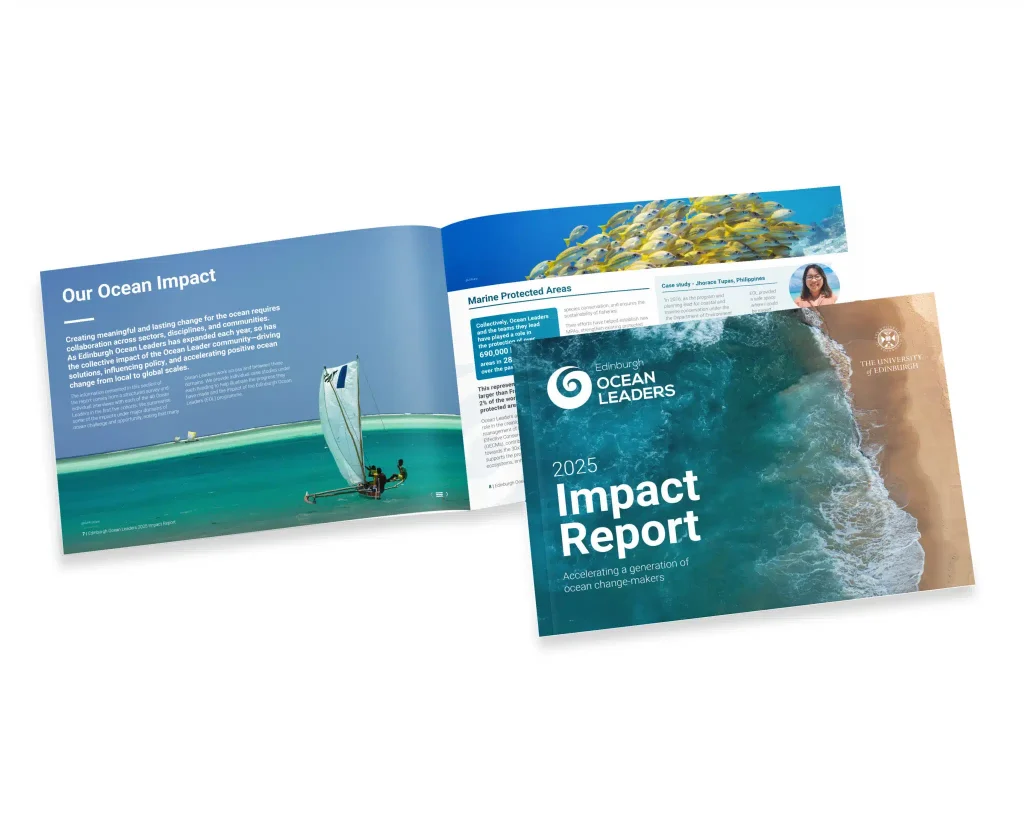 Brochures design example